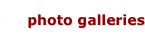 shapeimage_2_link_8