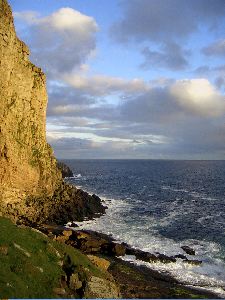 Foula