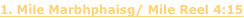 shapeimage_2_link_0