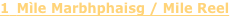 shapeimage_2_link_8